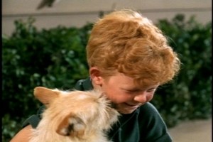 Jody comes up with a quick solution to that problem--the rule won't apply if no one sees him going in.