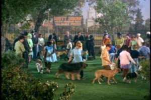 All these dogs and kids must have made for a fun day for Anissa Jones and Johnnie Whitaker--and a long day for director Charles Barton.