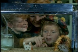 The pet store clerk lets them pick out various species, based solely on looks, without offering any advice.