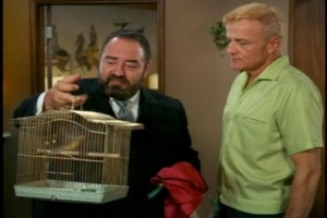 In the episode's funniest scene, French reacts to "the feathered creature" that Buffy and Jody have re-gifted to him.