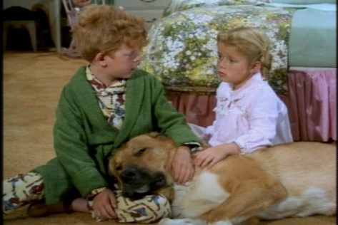 I don't usually like big dogs, but Oliver looks cute here.