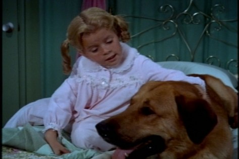 She tries to reason with the dog in an attempt to improve his relationship with Bill.