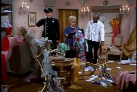 When the porter left the door open for a moment, Oliver chased a cat into the shop.